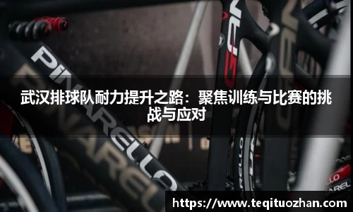 武汉排球队耐力提升之路：聚焦训练与比赛的挑战与应对